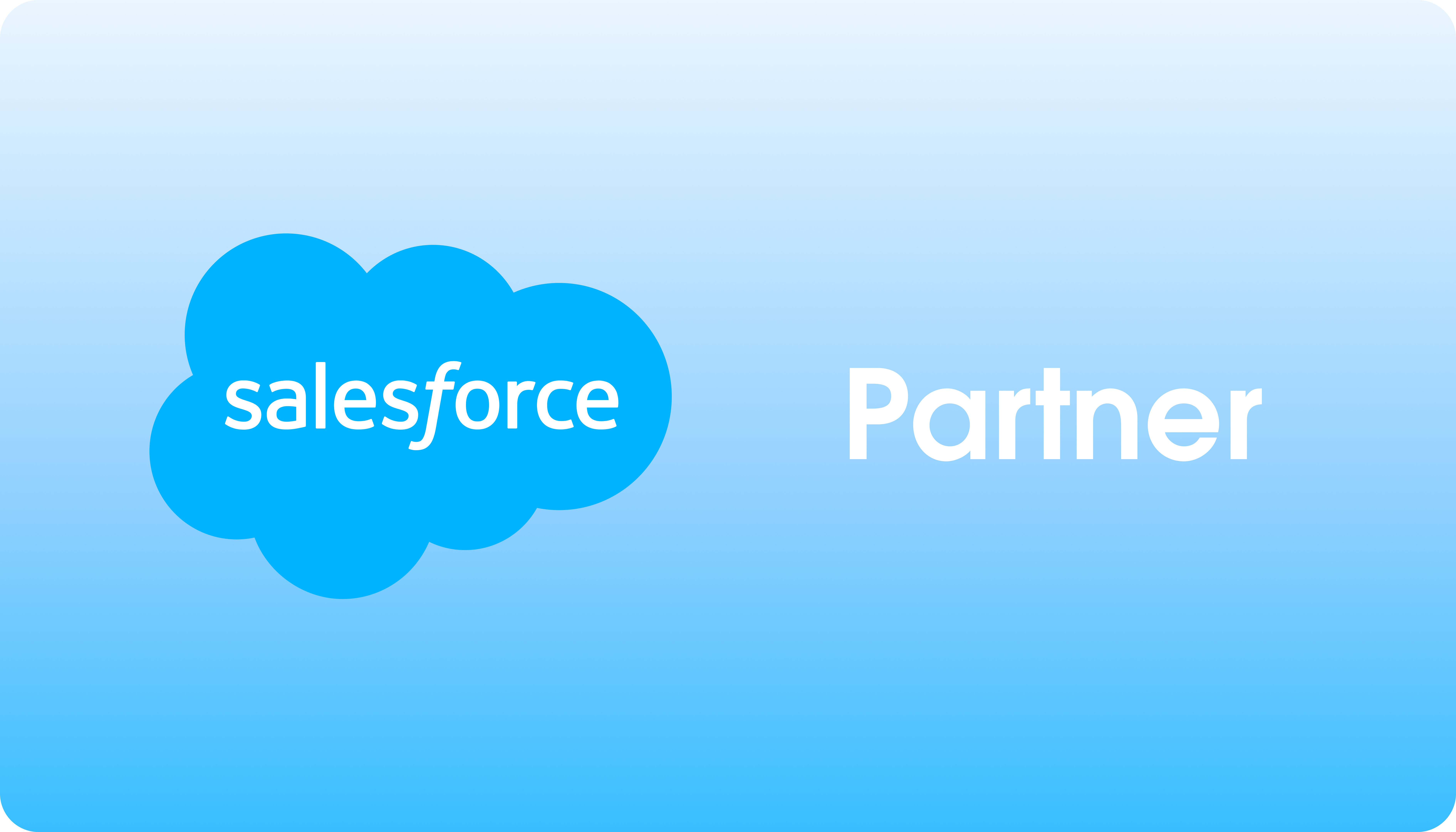 Salesforce Partner Badge