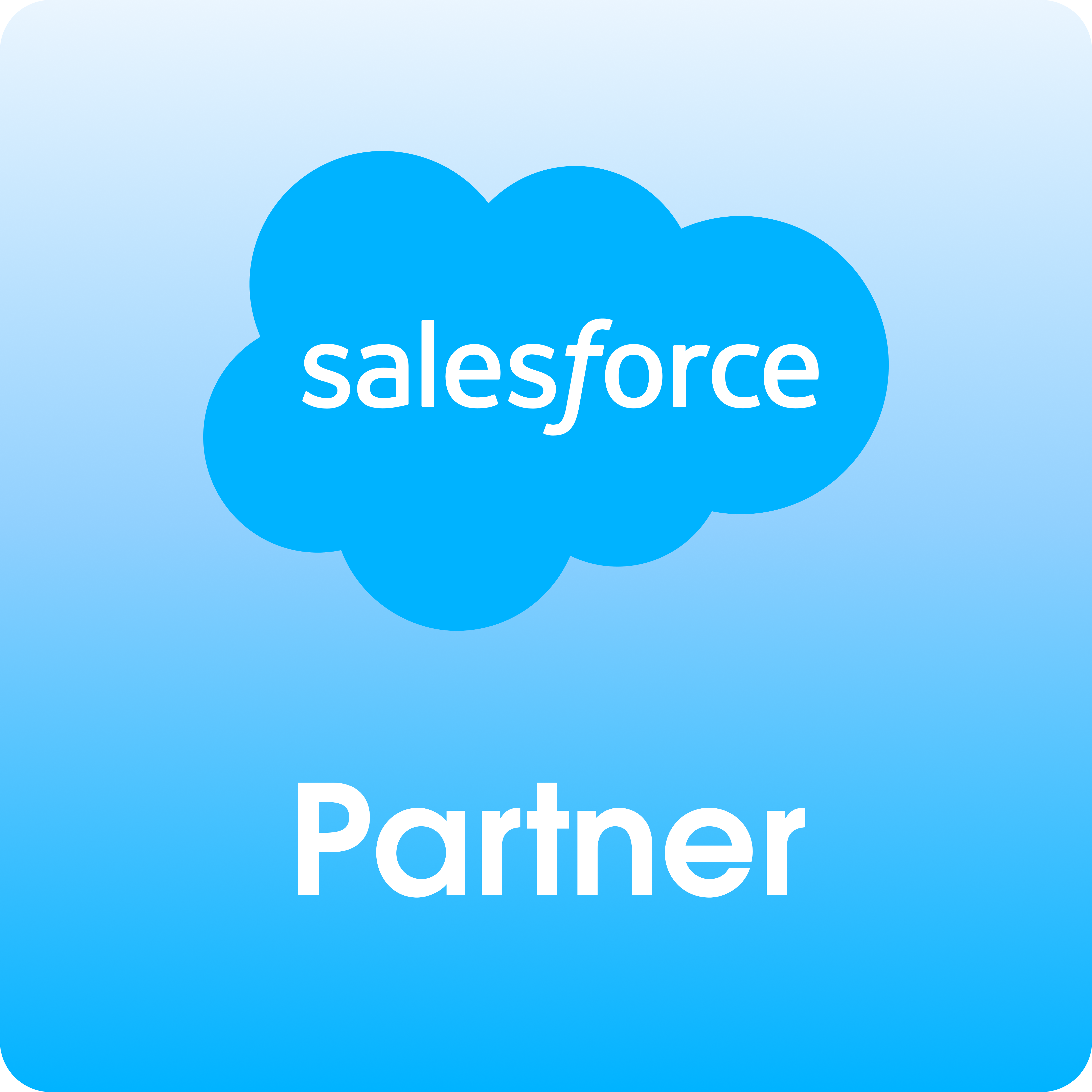 Salesforce Consulting Partner
